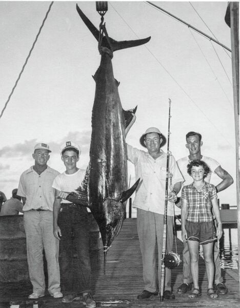 Click to See Next Image